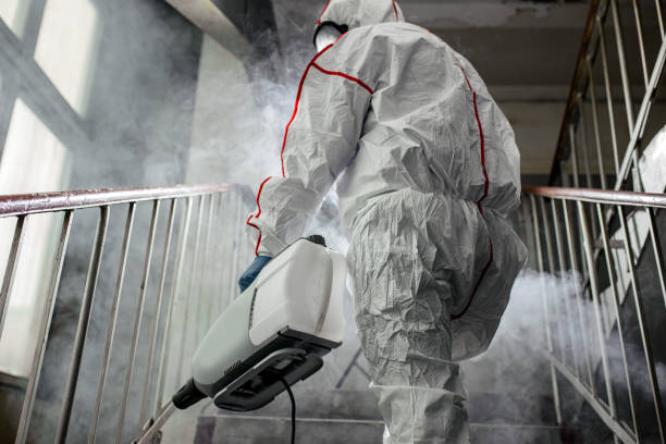 Best Mold Prevention Services  in Philipsburg, MT